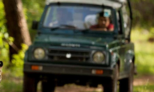 Gir Interpretation zone,Devalia Remains Closed on every Wednesday Gir Interpretation zone,Devalia Remains Closed on every Wednesday