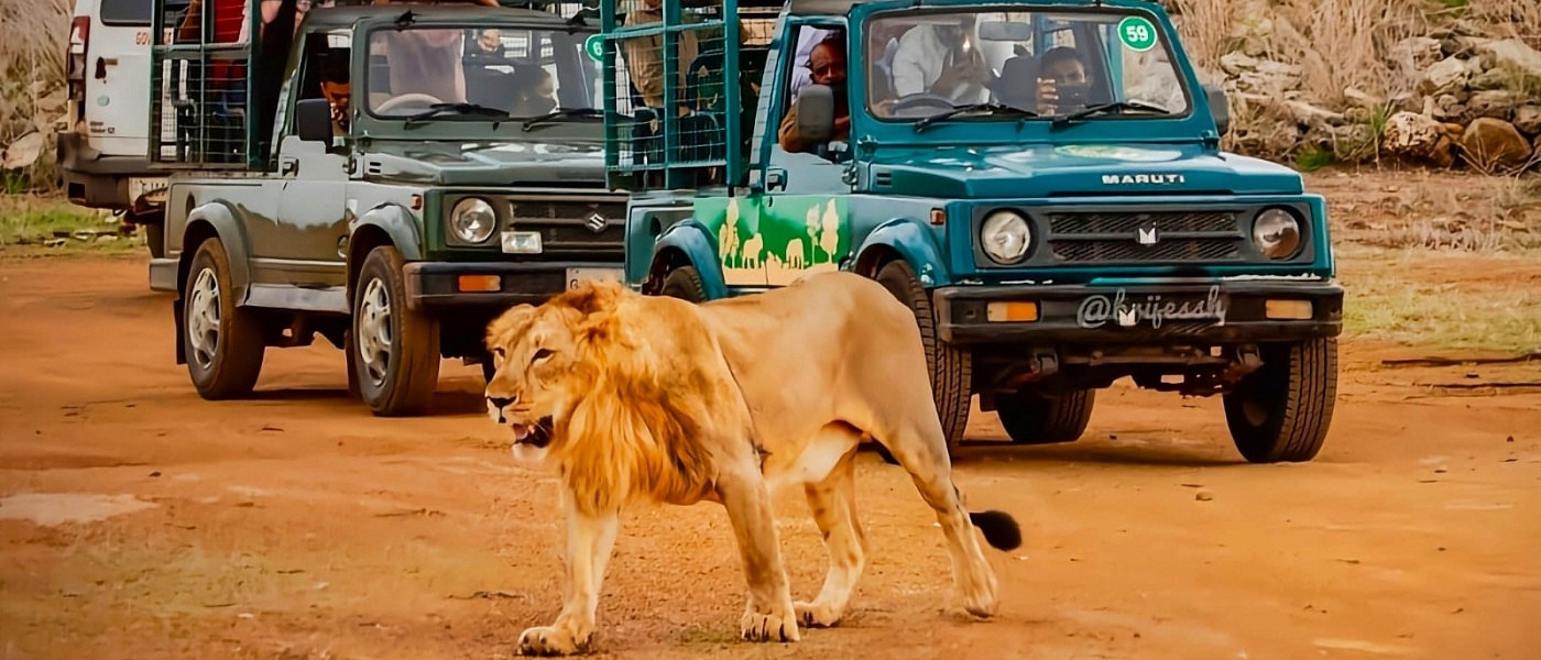 Giz Devalia Park Gypsy Safari
