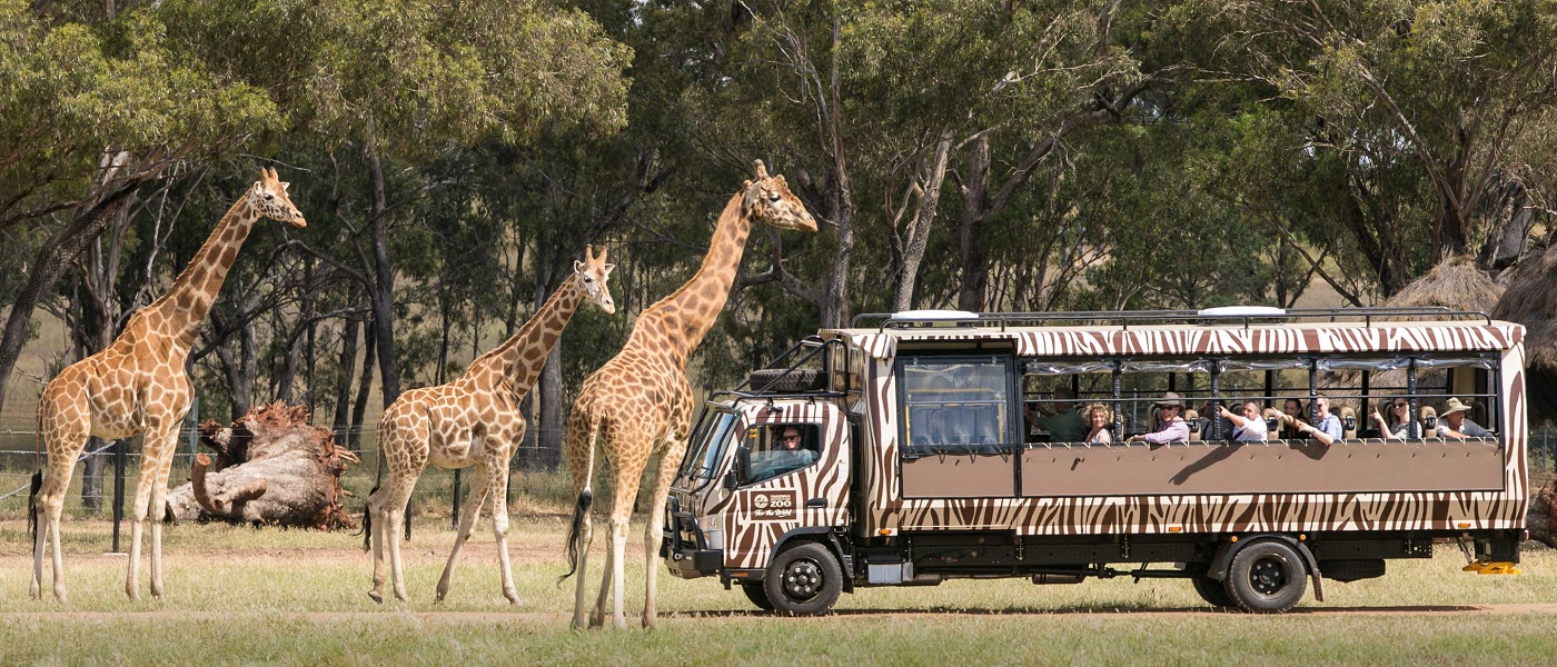 Giz Devalia Bus Safari